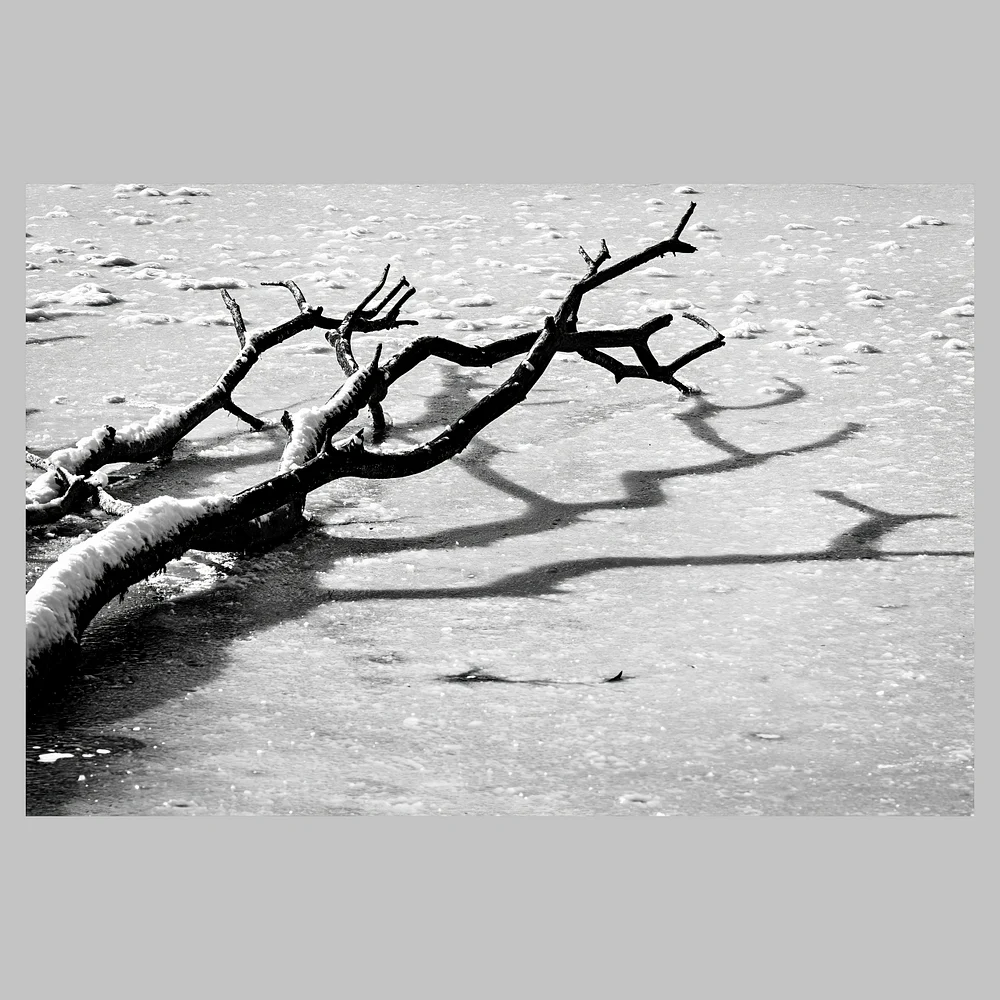 Frozen Shadows