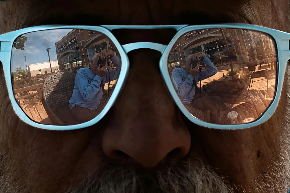 Self-Reflection
