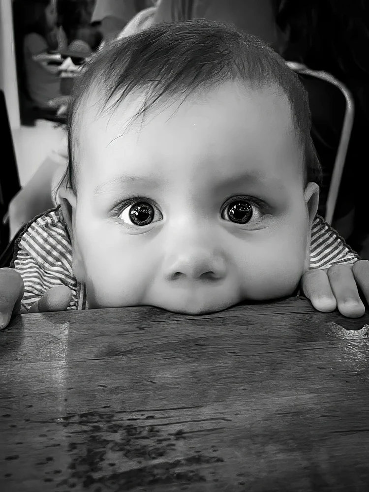 Feed Me