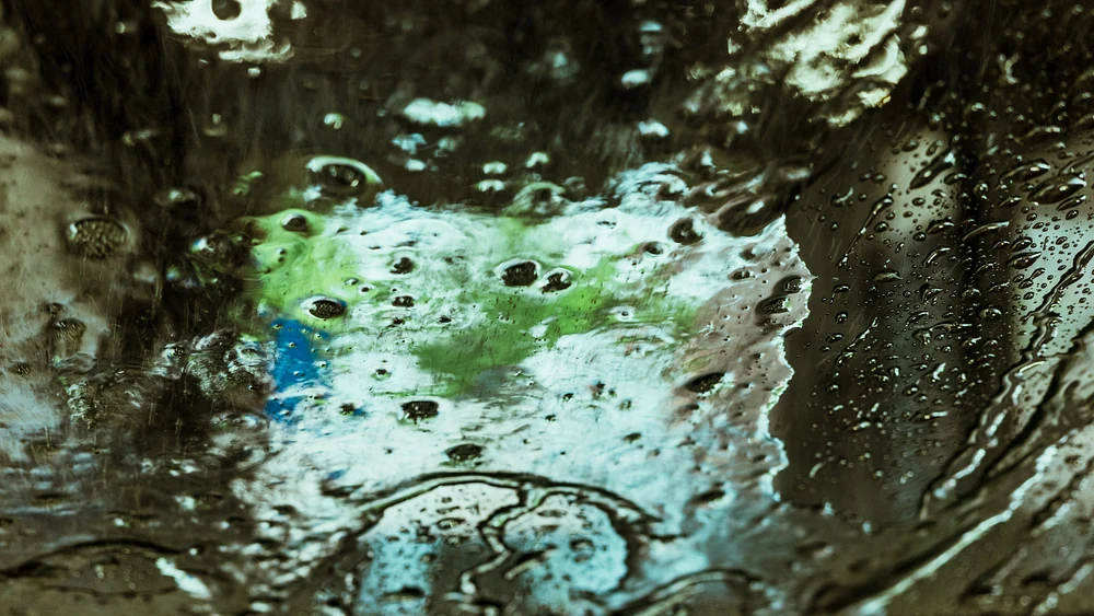 Anatomy of a Car Wash