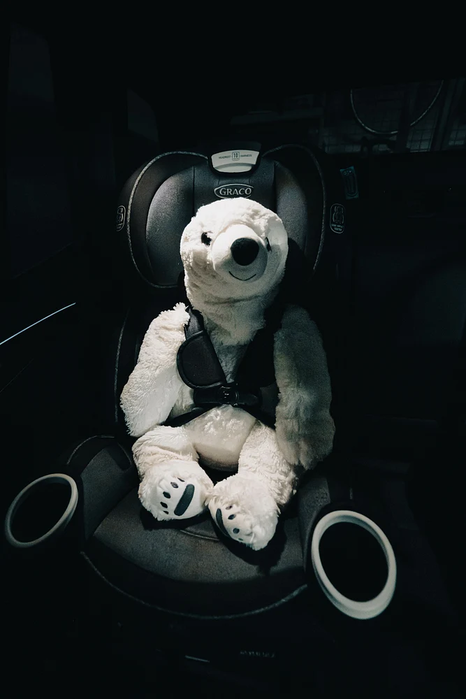 Precious Cargo