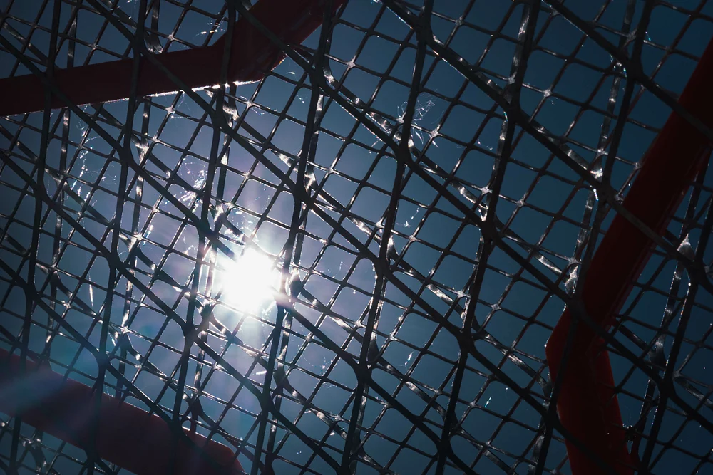 Enmeshed