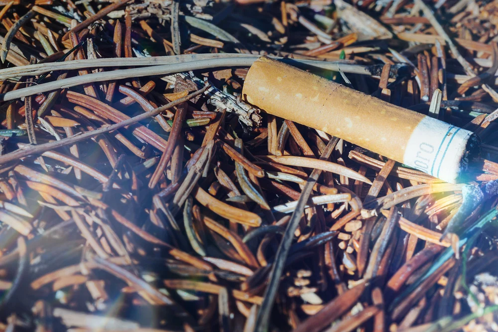 Marlboro