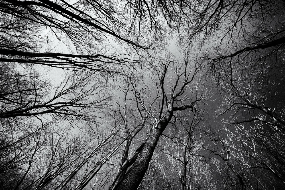 Worm's Eye View