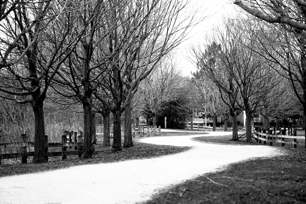 Path Deserted