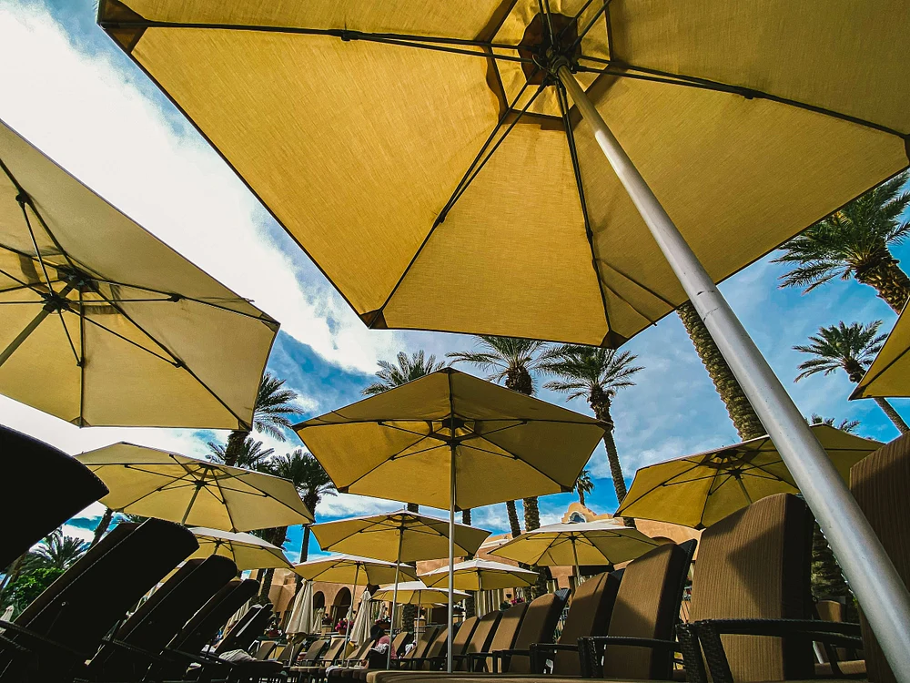 Sea of Umbrellas