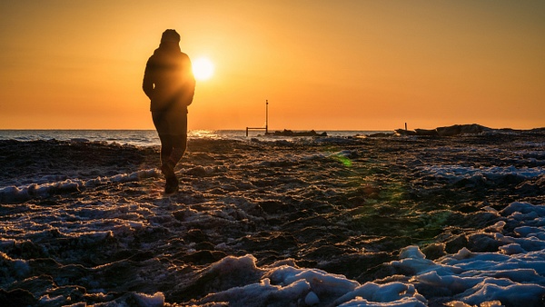 Morning Stroll - 2021 - Jeff Marcowitz Photography