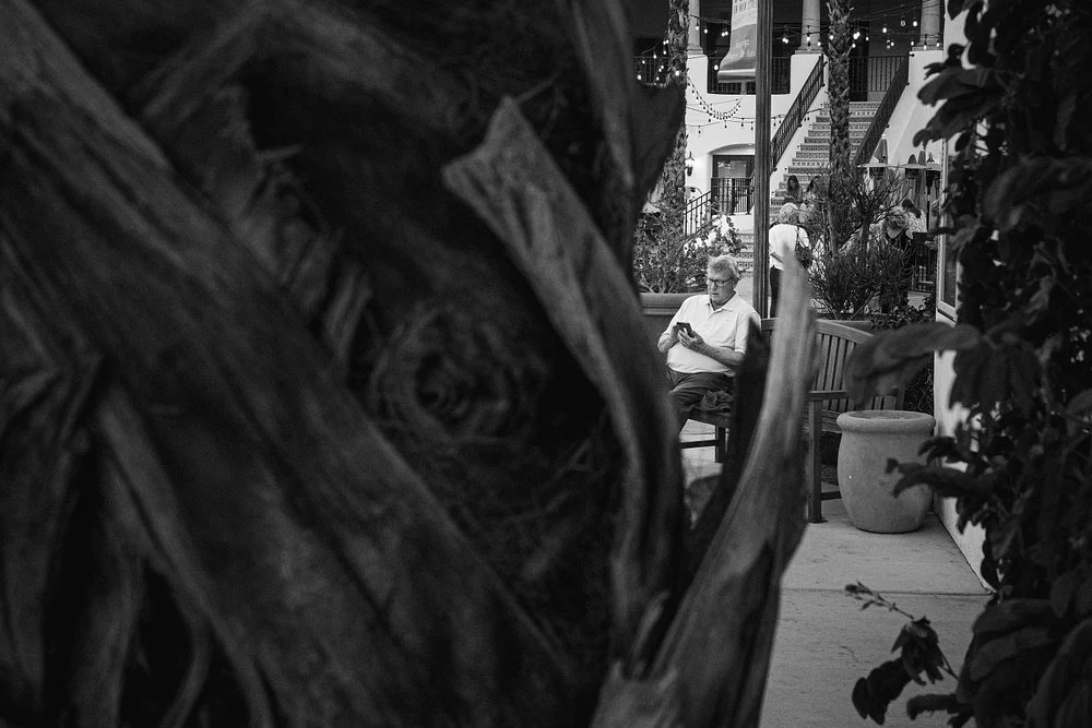 Engrossed - Plate XIII