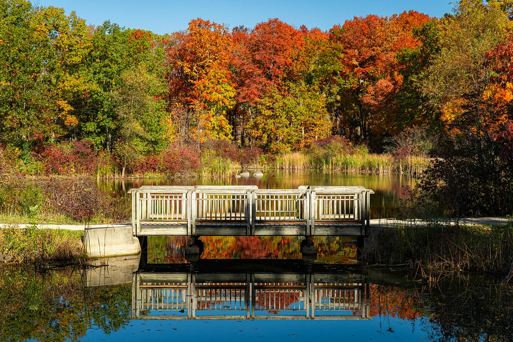 Bridge Over Untroubled Waters
