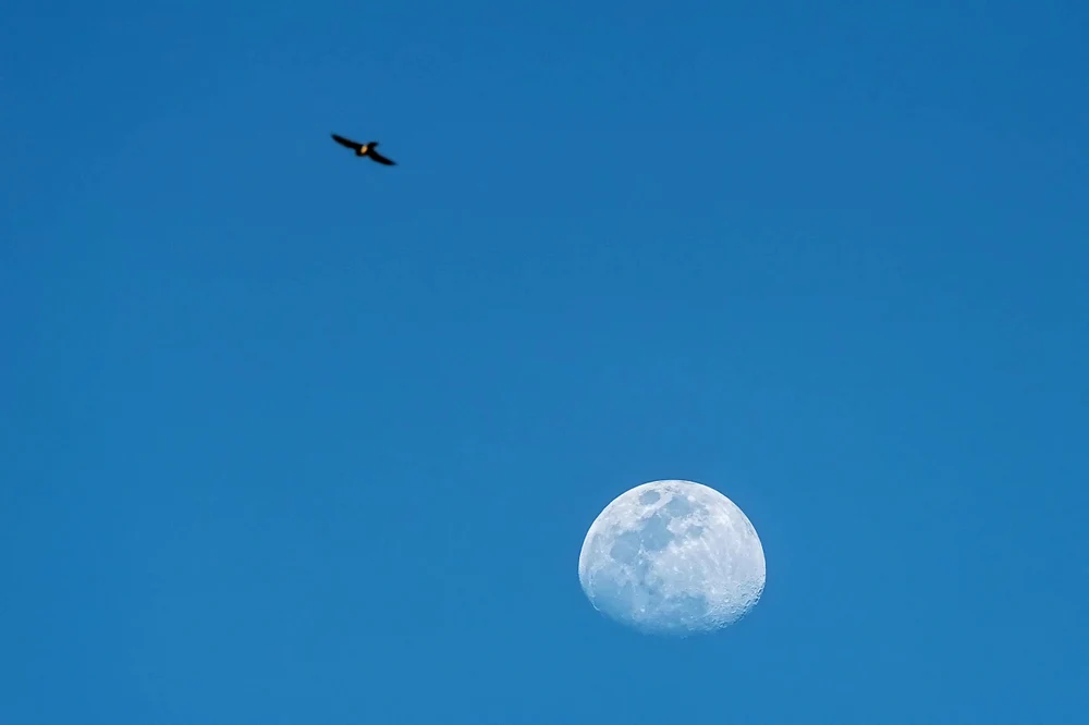 Timing Is Everything
