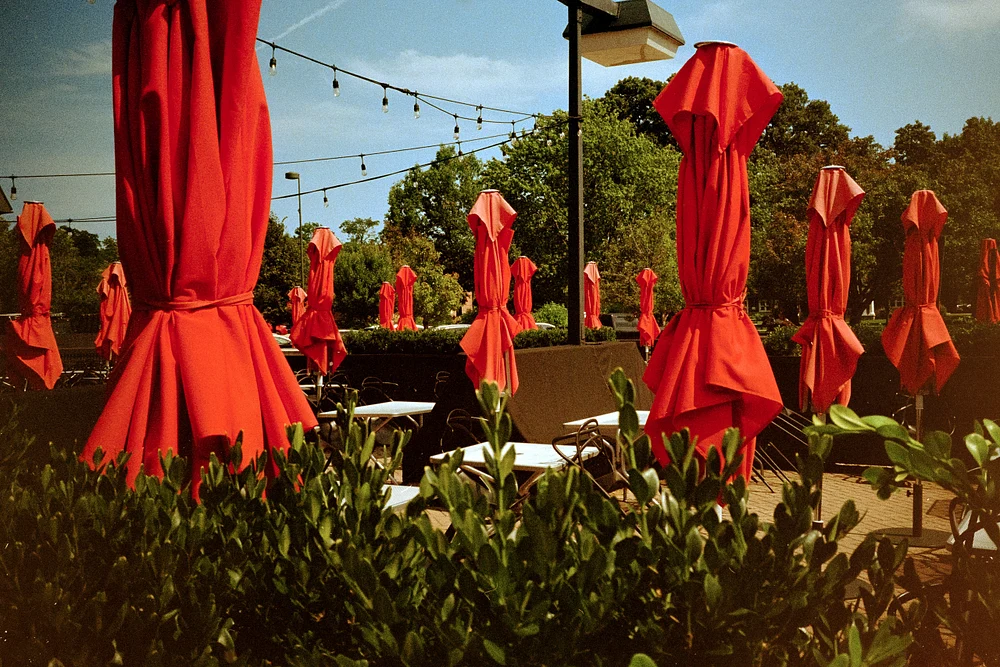 Umbrellas