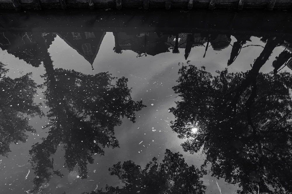 Day or Night?