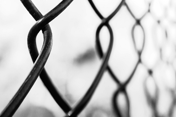 Entwined - Visual Notes - Jeff Marcowitz Photography