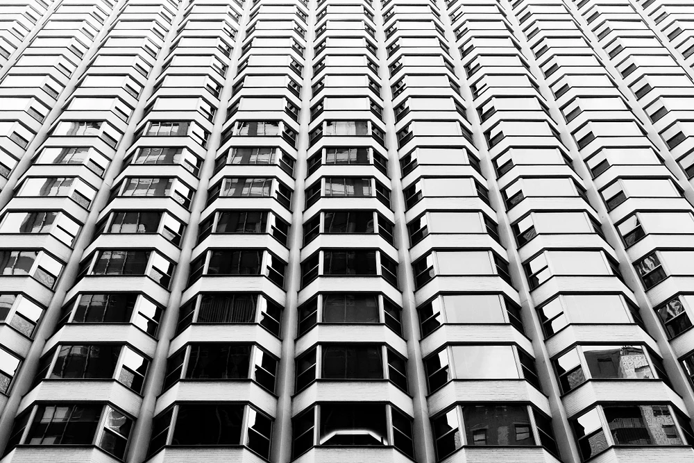 Chicago Bays