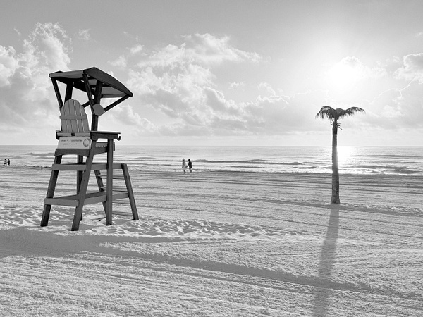 "Good Morning, Chair". "Good Morning, Tree". - 2026 - Jeff Marcowitz Photography