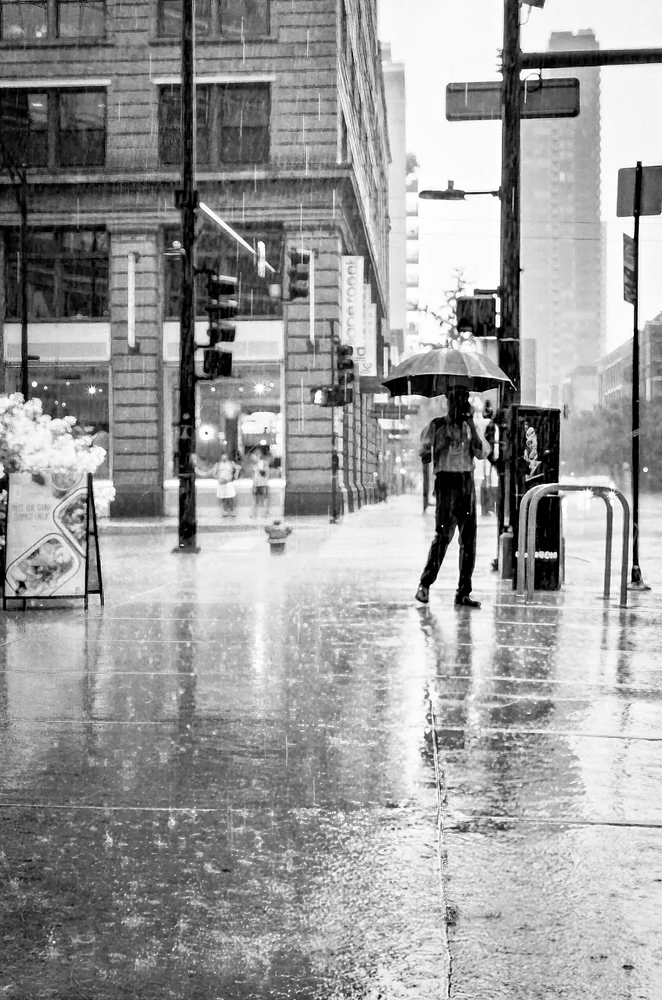 Fortuitous Rain