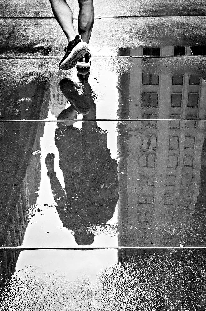 Fortuitous Rain