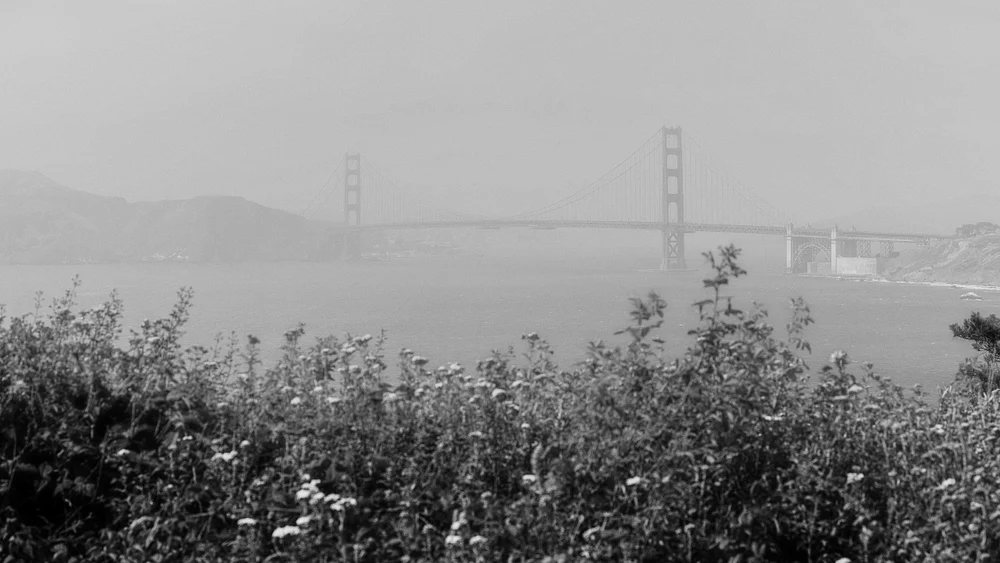 Gloomy Gate Bridge