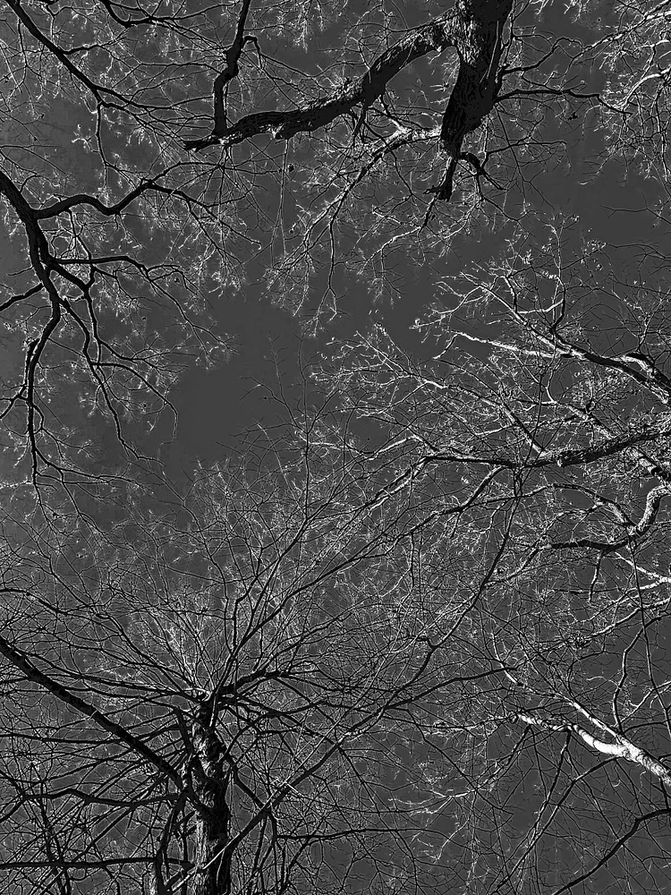 Neural Network 2