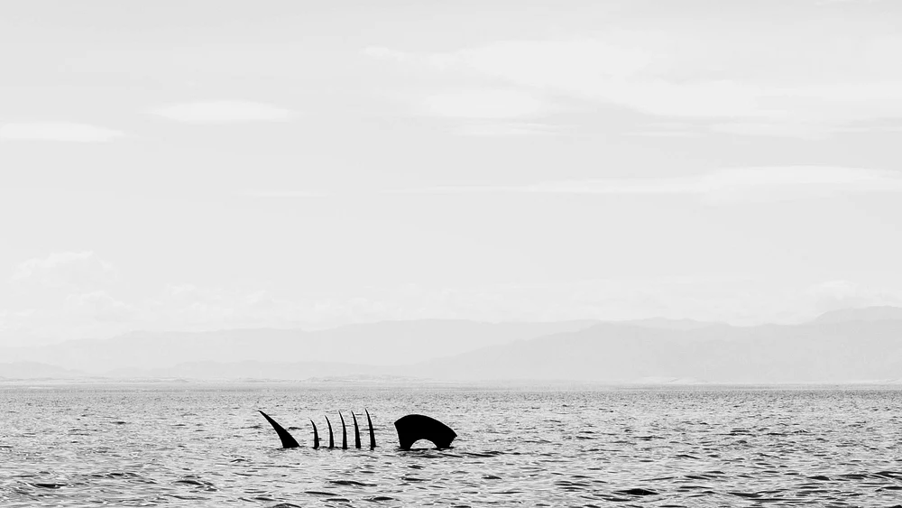 A Survivor