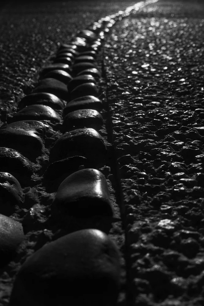 Follow The Light