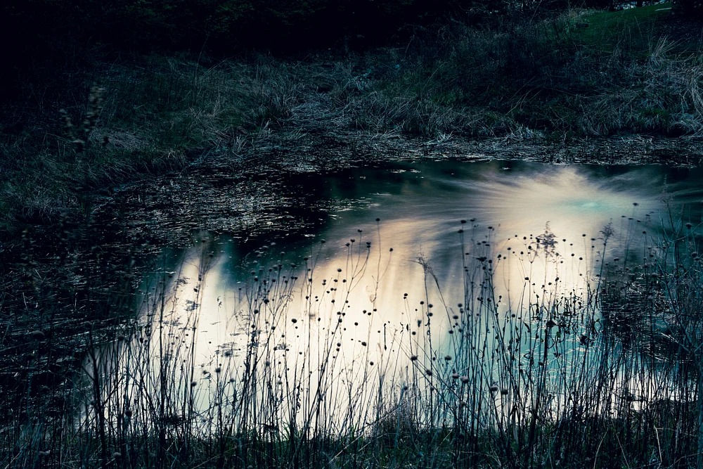 Dreamscape
