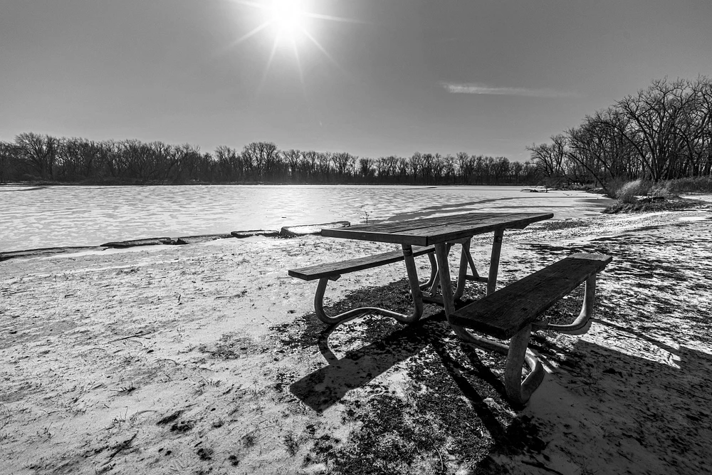 Frozen Out