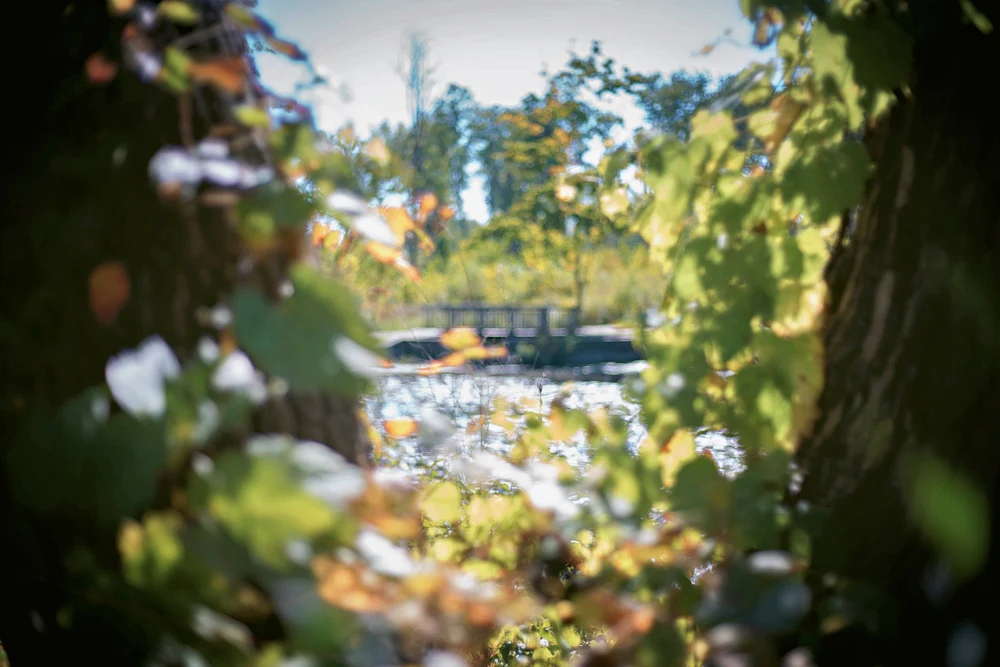 20250930_Wright Woods-A7C03782-EditRAD.jpg