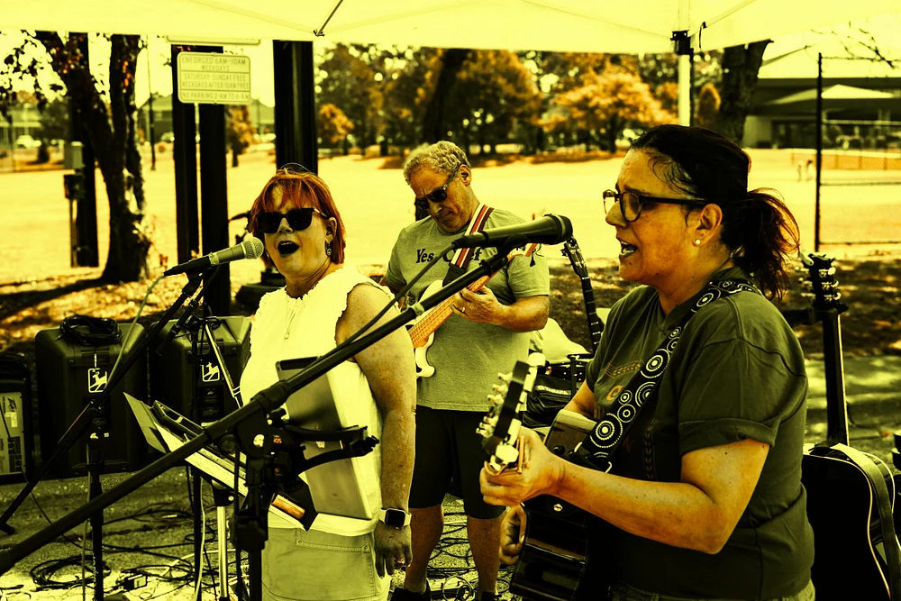 The Second-Hand Tunes Band