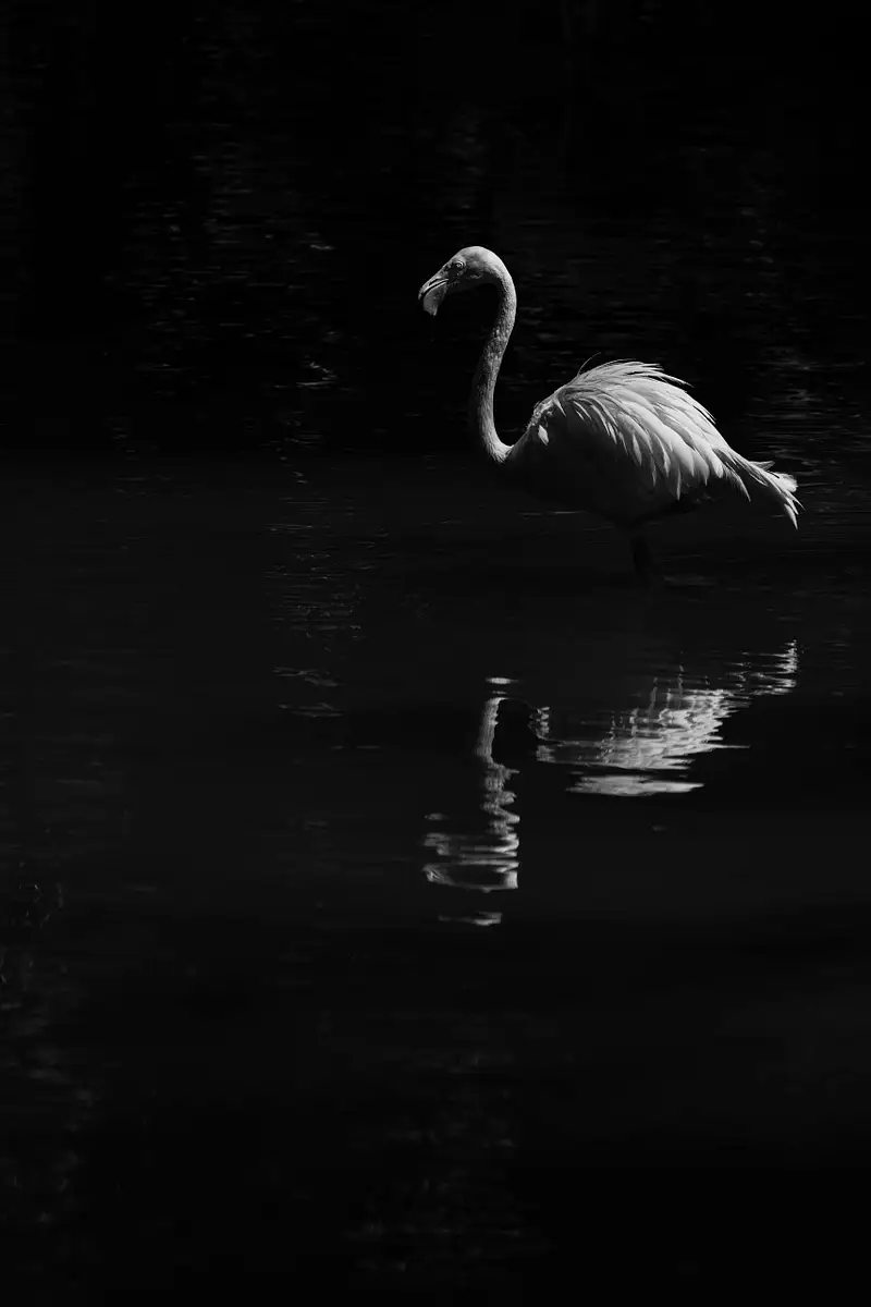 Jeff Marcowitz Photography