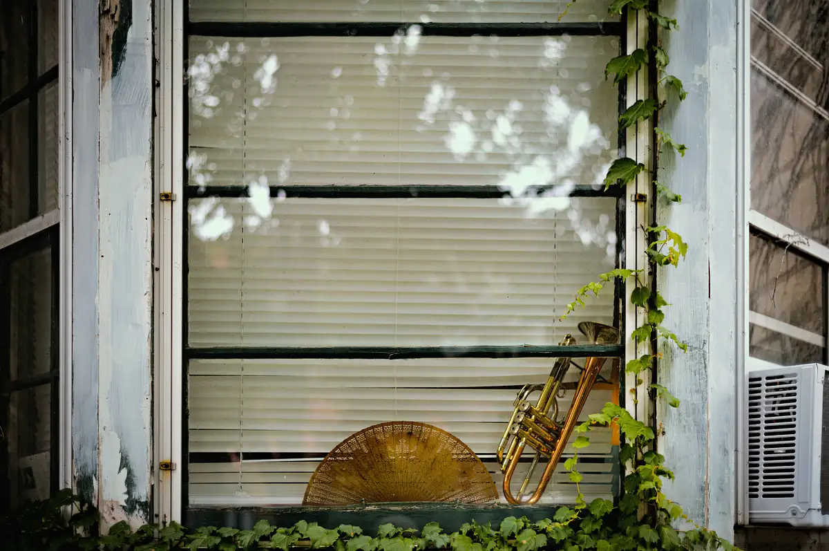 Jeff Marcowitz Photography