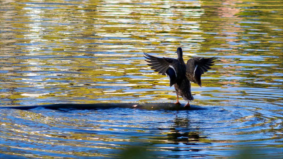 Jeff Marcowitz Photography