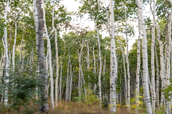 09252025-5 - Landscape - MaKenna Harmon Photography