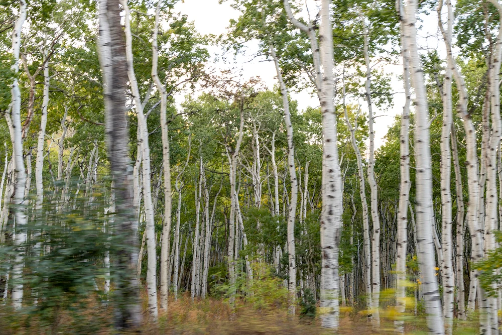 09252025-5