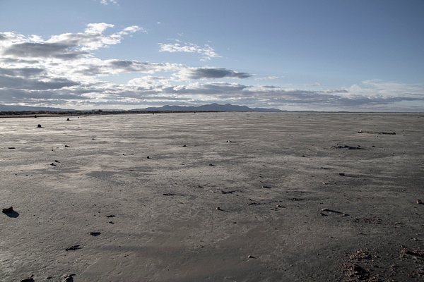 activism-0527 - Save The Great Salt Lake - MaKenna Harmon Photography