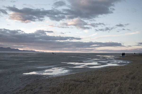 activism-0547 - Save The Great Salt Lake - MaKenna Harmon Photography