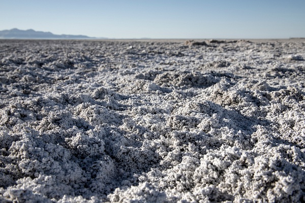 mharmon-3730 - Save The Great Salt Lake - MaKenna Harmon Photography