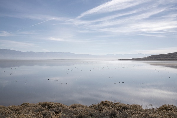 mharmon-3901 - Save The Great Salt Lake - MaKenna Harmon Photography