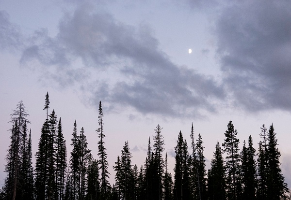 mharmon-0093 - Landscape - MaKenna Harmon Photography