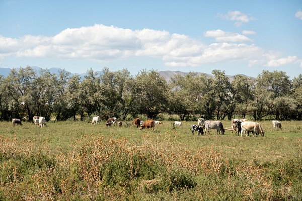 mharmon-0121 - Landscape - MaKenna Harmon Photography