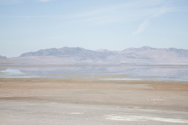 mharmon-3911 - Save The Great Salt Lake - MaKenna Harmon Photography