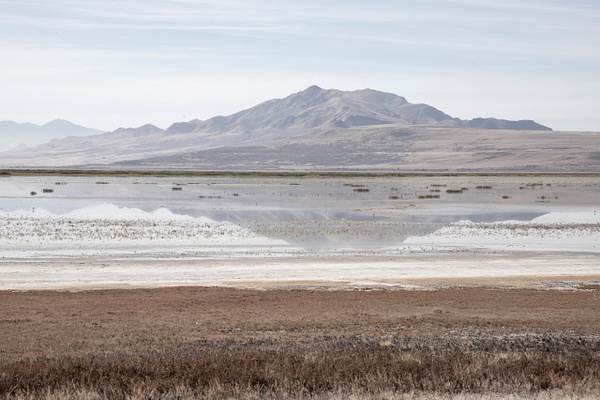mharmon-3914 - Save The Great Salt Lake - MaKenna Harmon Photography