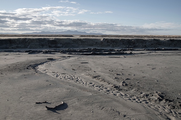 activism-0522 - Save The Great Salt Lake - MaKenna Harmon Photography