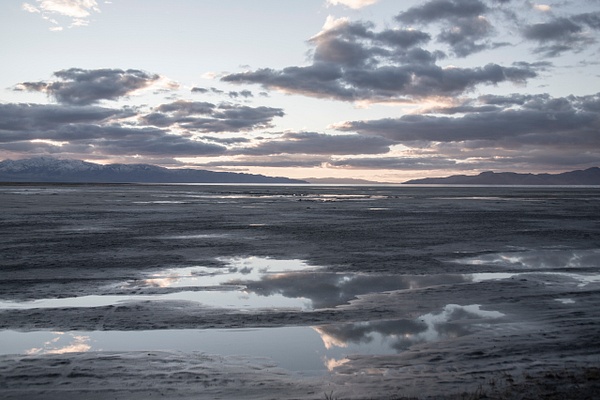 activism-0548 - Save The Great Salt Lake - MaKenna Harmon Photography