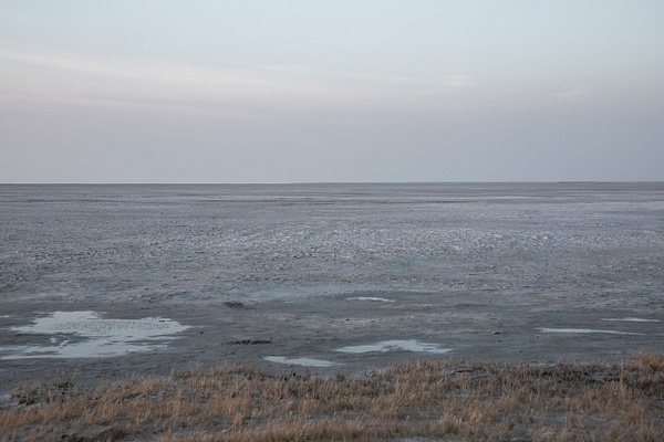 activism-0779 - Save The Great Salt Lake - MaKenna Harmon Photography