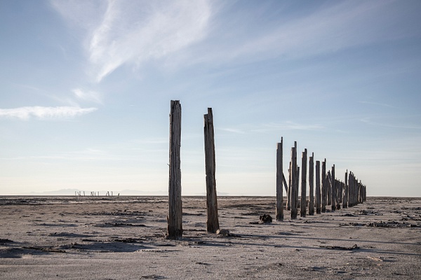 mharmon-3852 - Save The Great Salt Lake - MaKenna Harmon Photography