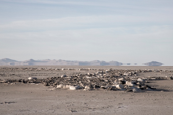 mharmon-3861 - Save The Great Salt Lake - MaKenna Harmon Photography
