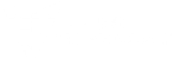 flyingvicariously