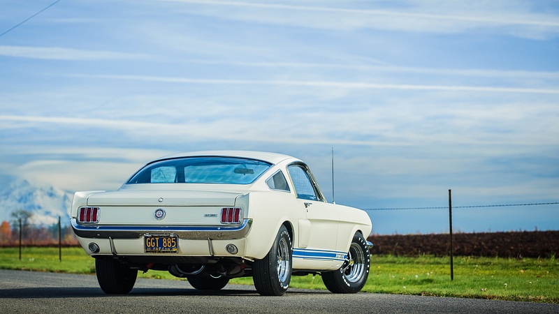 Shelby GT350H-5