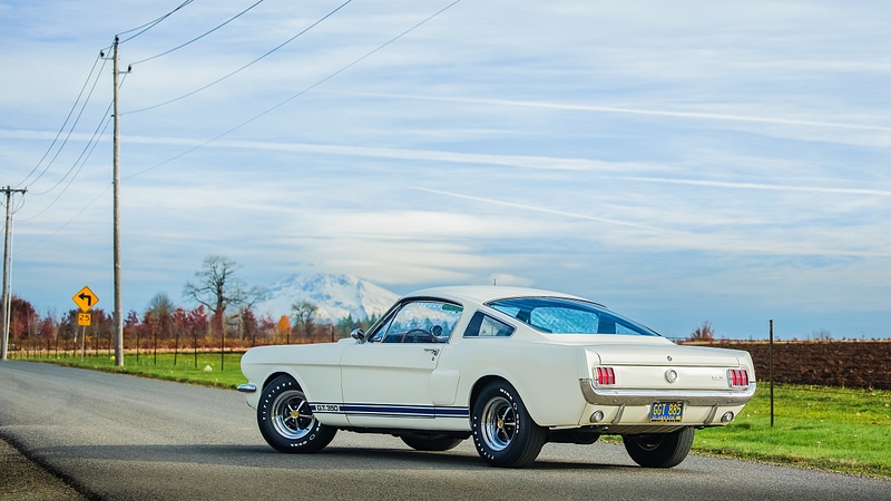 Shelby GT350H-7